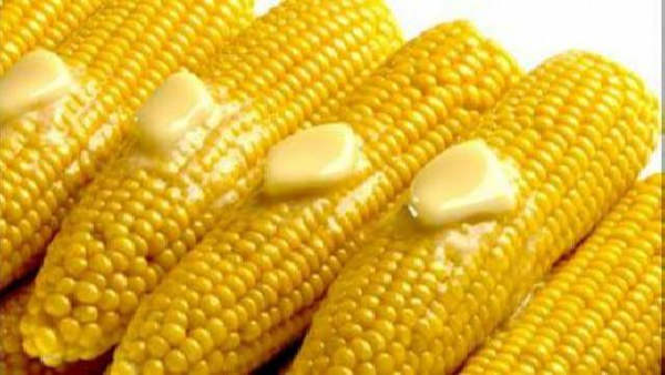 История кукурузы