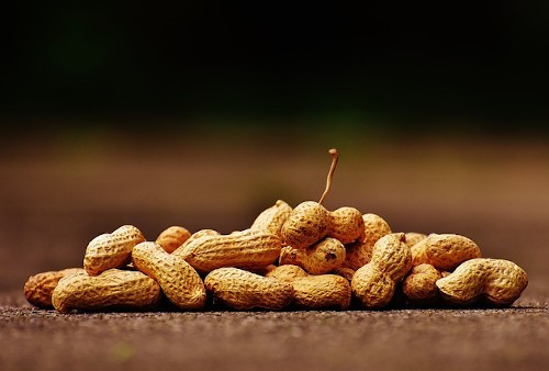 10 интересных фактов об арахисе которые вы могли не знать