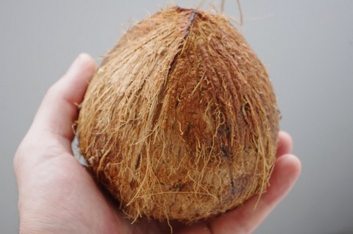 Как правильно выбрать кокос в магазине