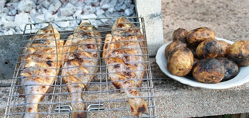 6 частых ошибок в приготовлении рыбы на мангале