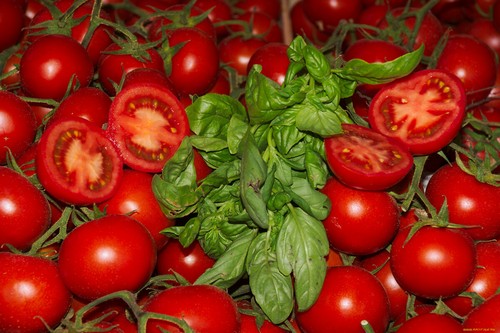 5 идей, что делать с помидорами, если солений уже хватит