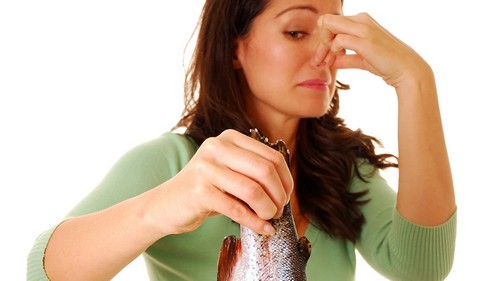 Как проверить качество рыбы в магазине – 5 советов