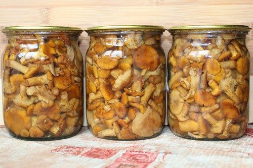 5 типичных ошибок в хранении грибных заготовок в квартире