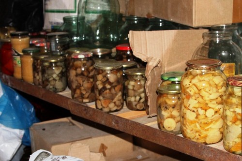 5 типичных ошибок в хранении грибных заготовок в квартире